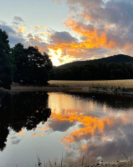 Sunset at Charlies